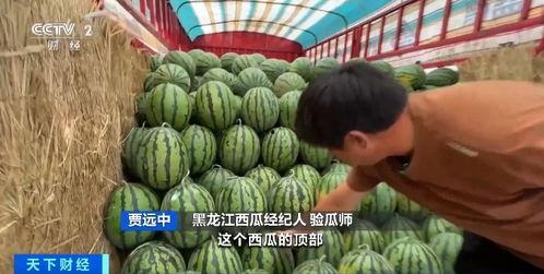 孟西吃瓜,揭秘娱乐圈背后的那些事儿