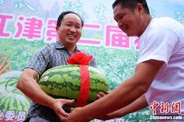 孟西吃瓜,揭秘娱乐圈背后的那些事儿