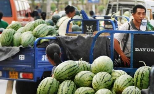 交院菜鸟吃瓜,校园生活趣味横生
