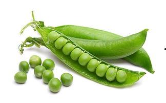 豌豆和小国瓜能一起吃吗,探索豌豆和小国瓜的搭配奥秘