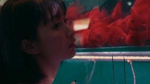 后排吃瓜少女是谁,后排吃瓜少女，网络红人背后的故事