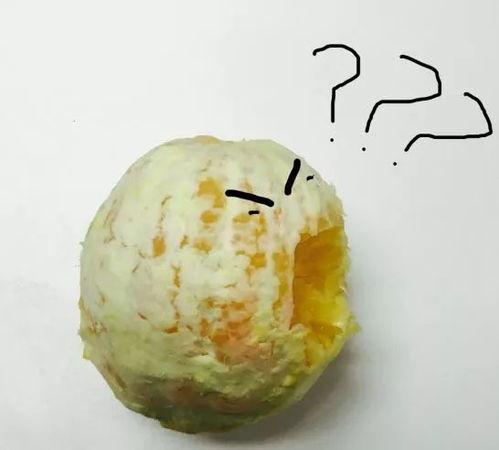 抖音吃瓜种子,揭秘热门话题背后的真相与笑料