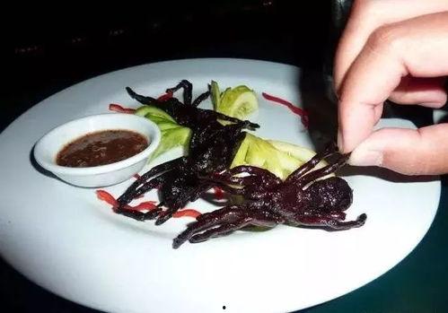 吃瓜视频恐怖料理,揭秘吃瓜视频中的恐怖料理之谜