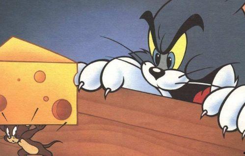 猫和老鼠吃瓜,一场爆笑的美食争夺战