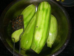 角瓜葫芦怎么吃,解锁健康美味新体验