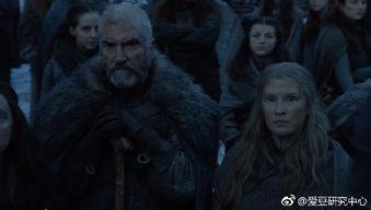 权力的游戏吃瓜,宫廷争斗背后的吃瓜指南