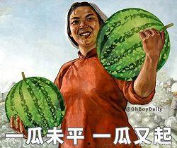 吃瓜双十一,吃瓜群众围观购物盛宴