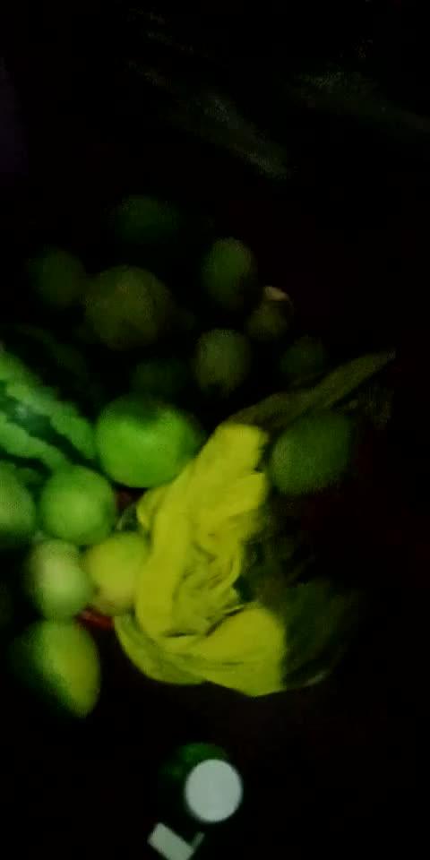 吃瓜和偷瓜什么意思,吃瓜与偷瓜的趣味解读