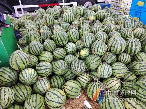 亚细亚宁波吃瓜