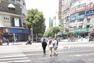 马路上吃瓜罚款,公共秩序需共同维护