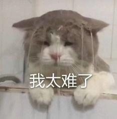 内娱吃瓜猹,揭秘娱乐圈背后的八卦风云