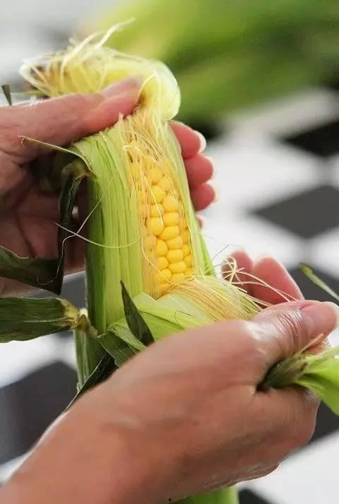 吃瓜的苞米公主合集 第3张 吃瓜的苞米公主合集 第3张