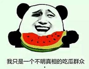 带你吃瓜人,揭秘娱乐圈背后的故事  第3张