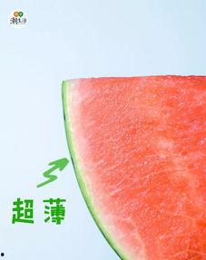 时渔吃瓜宝典,揭秘娱乐圈幕后真相与趣味故事  第3张