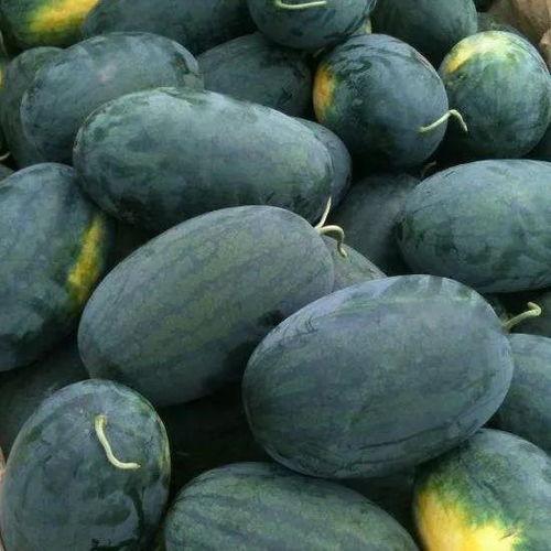 湖北利川来凤吃瓜,探寻特色吃瓜文化之旅  第2张