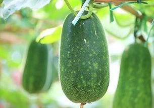 五一吃瓜网今日吃瓜官网,揭秘今日热门吃瓜事件，官网独家爆料！  第1张