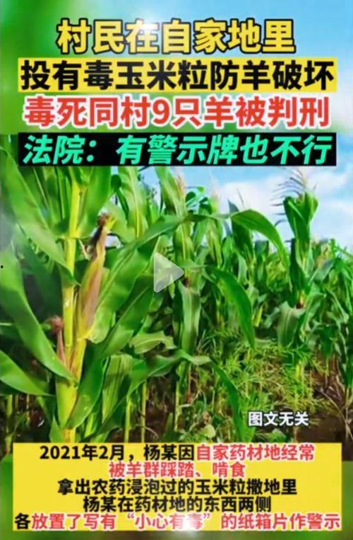 五一吃瓜网今日吃瓜官网,揭秘今日热门吃瓜事件，官网独家爆料！  第2张