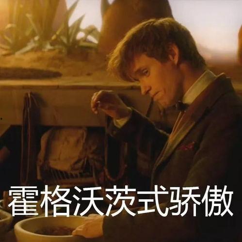 喂你吃麻瓜意思,一场关于成长与认知的奇幻之旅  第3张