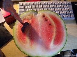 腾哥吃瓜,揭秘娱乐圈幕后故事  第2张