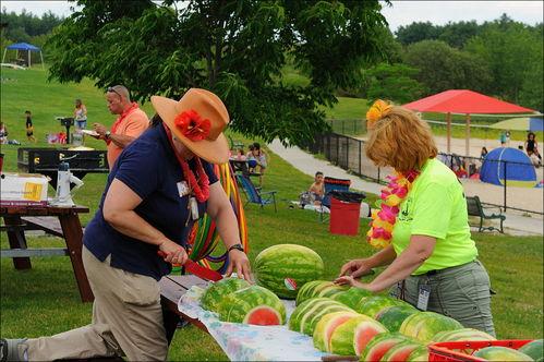 周末愉快科学吃瓜,科学吃瓜指南  第2张