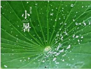 夏日吃瓜诗句,品读古风诗句中的清凉夏日  第2张