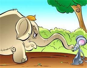 小老鼠吃瓜头像,趣味横生的夏日时光