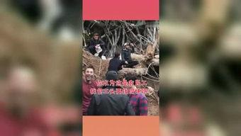 吃瓜星球定位  第3张
