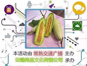 吃瓜号怎么剪辑,如何剪辑生成爆款概述文章