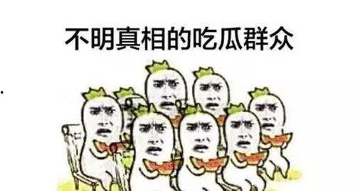 吃瓜群众不传谣