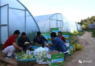 峨边吃瓜群众  第2张